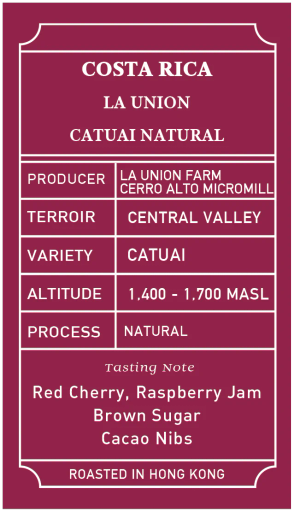 Costa Rica La Union Catuai Natural