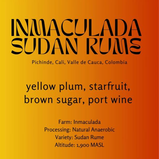 Inmaculada - Sudan Rume - Colombia - Bulk