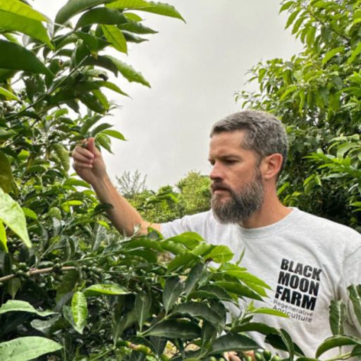 Black Moon #22 Geisha - Natural Anaerobic