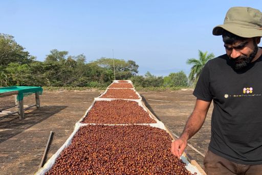 India Kerehaklu Anoxic Washed