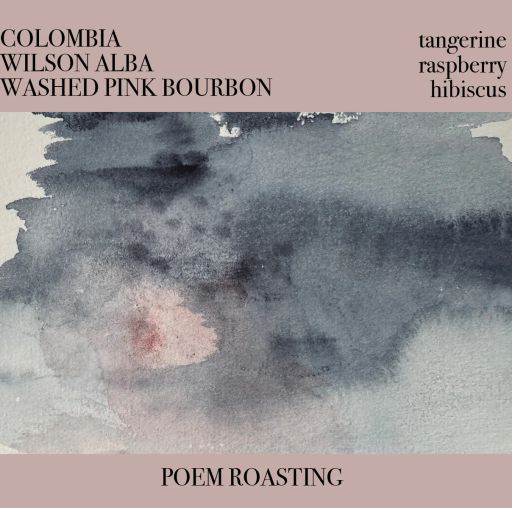 Colombia Wilson Alba Pink Bourbon