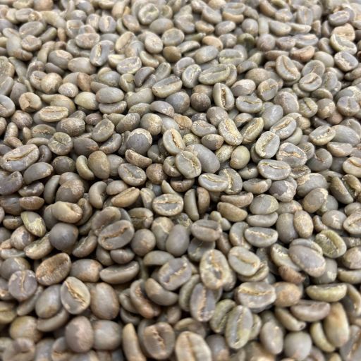 Finca El Proceso Chiroso