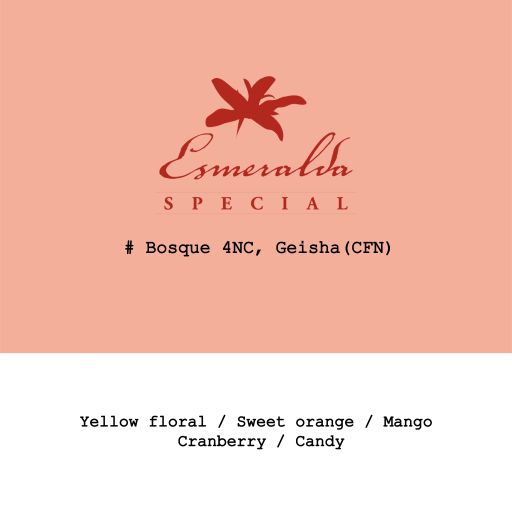 Panama HLE-Jaramillo Geisha Bosque 4NC