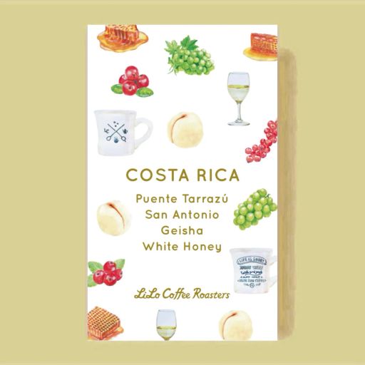 COSTA RICA Puente Tarrazú San Antonio Geisha