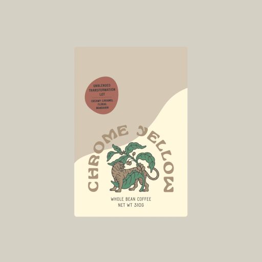 Unblended Women's Transformation Lot