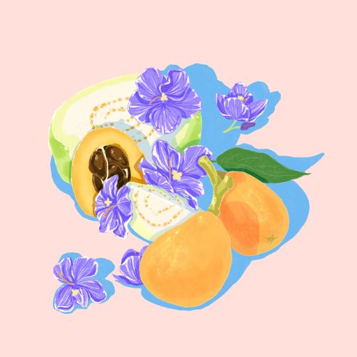 Gesha - Natural "Sophie" - Santa Teresa