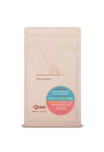 Ethiopia Ayele Adola filtr