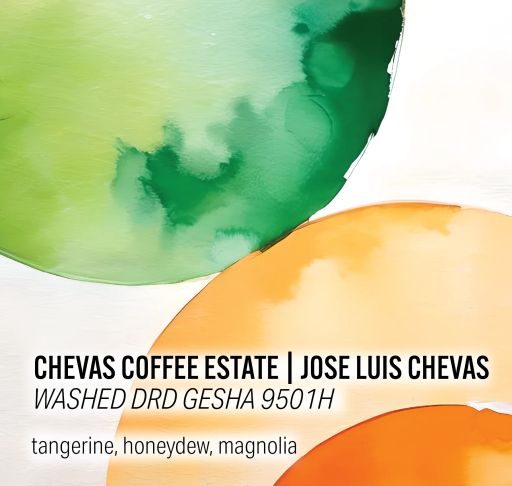 Chevas Coffee Estate - Washed DRD Gesha 9501H
