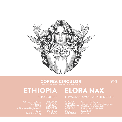ETHIOPIA Elto Elora Natural Anaerobic NAX