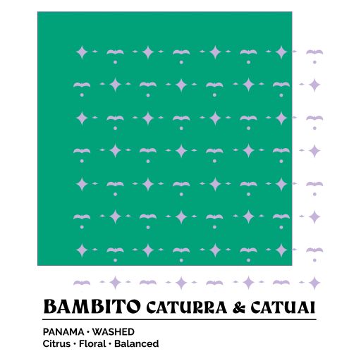 EPOCH 9 - Bambito Caturra & Catuai