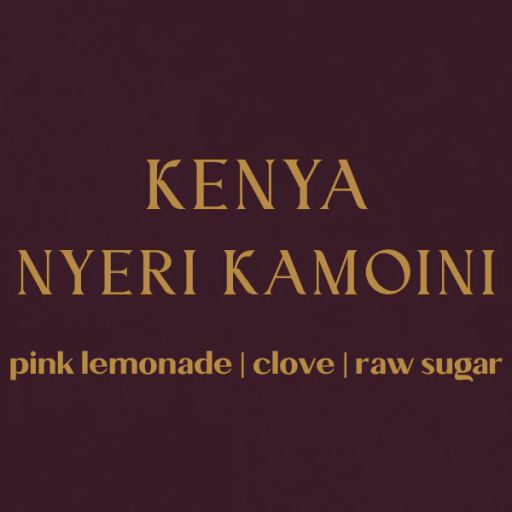 Kenya Nyeri Kamoini