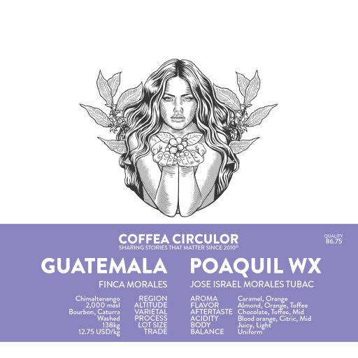 GUATEMALA Poaquil Washed WX (Espresso)