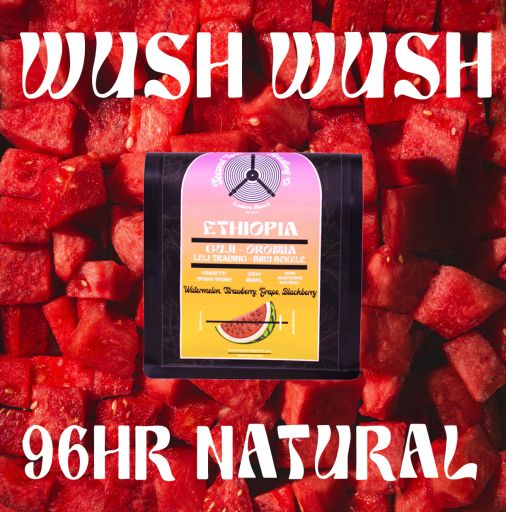 Ethiopia Biru Bekele Wush Wush