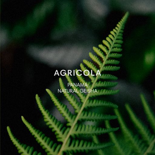 AGRICOLA #202