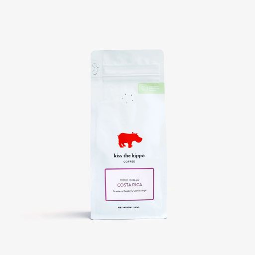 Costa Rica, Diego Robelo