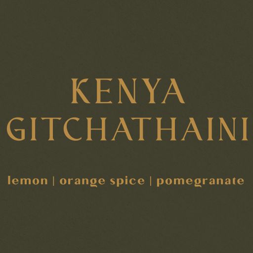 Kenya Gichathaini