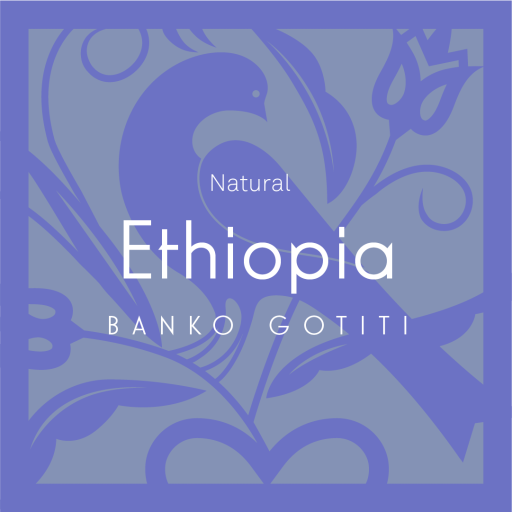 Ethiopia Banko Gotiti