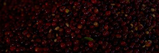 #39 Costa Rica, Anerobe Mocha