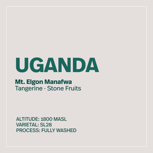 UGANDA - Mt. Elgon Manafwa
