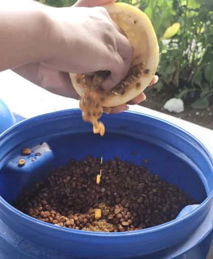 Colombia Santa Monica Passion Fruit Honey