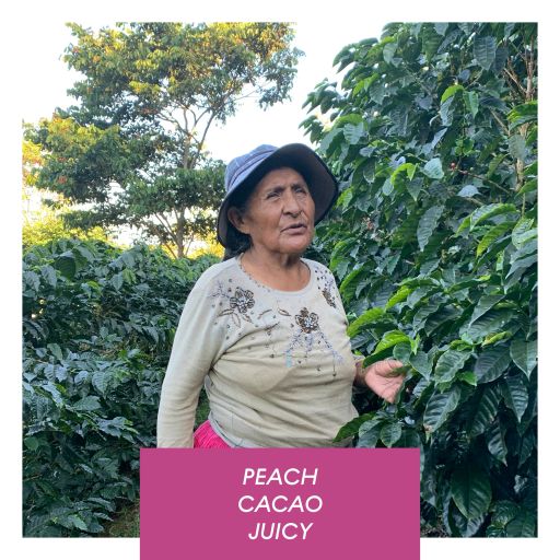 Carmelita, Natural Carbonic Java, Bolivia