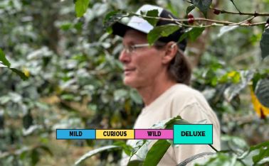 LIMITED | PANAMA | Longboard | Misty Mountain | Geisha | Natural