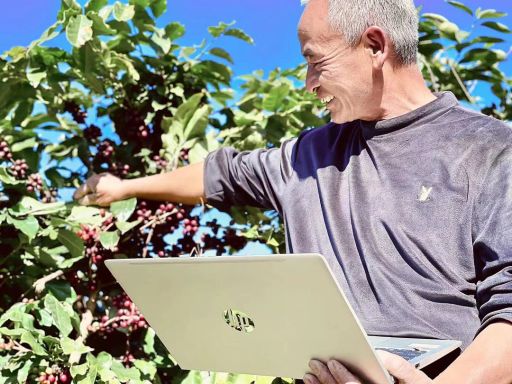 Bai Ma High Ferment Natural Catimor