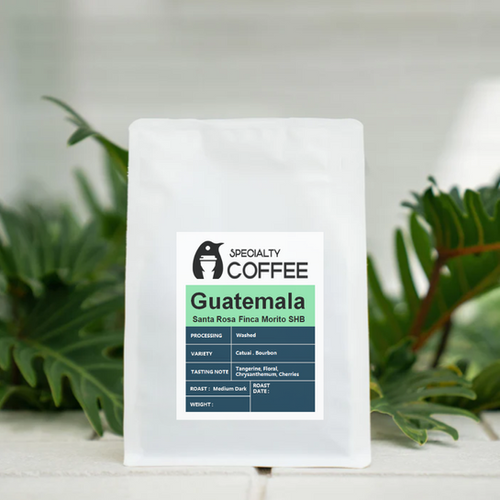 Guatemala Santa Rosa Finca SHB