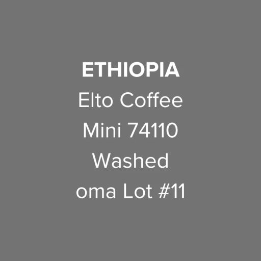 Ethiopia Elto Coffee Sidama Bona Mini 74110 Washed oma Lot #11
