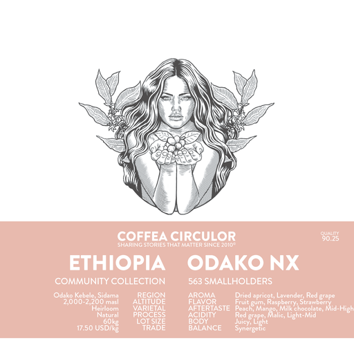 ETHIOPIA Odako Natural NX