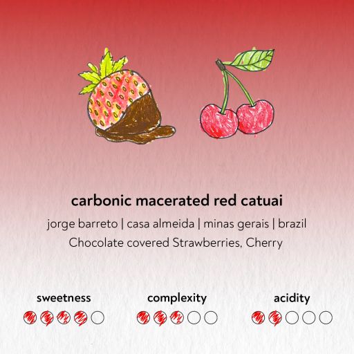 Carbonic Macerated Red Catuai