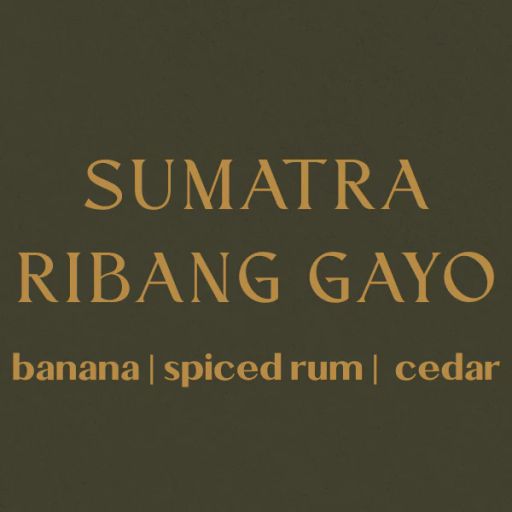 Sumatra Ribang Gayo