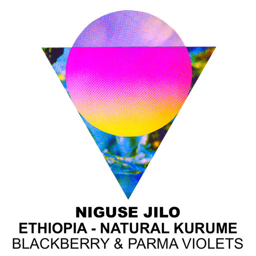Niguse Jilo – Ethiopia