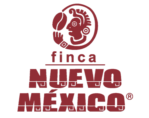 Chiapas Finca Nuevo México Familia Ibarra Baumann