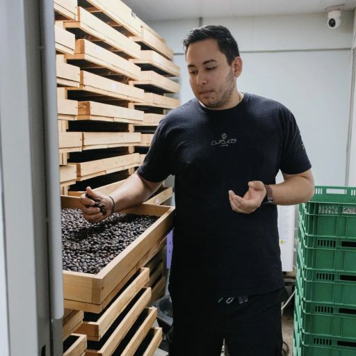 Panama - Chevas Estate - Green Tip Geisha Fresa (Lot #356)