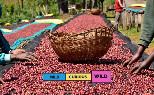 ETHIOPIA | Kayon Mountain | Heirloom | Natural