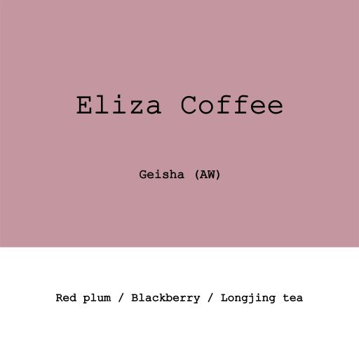 Ecuador Eliza Geisha Anaerobic Washed Double Fermented