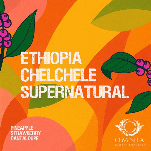 Ethiopia Chelchele Supernatural