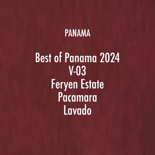 Panama Feryen Estate Lavado Pacamara Best of Panama 2024 V-03