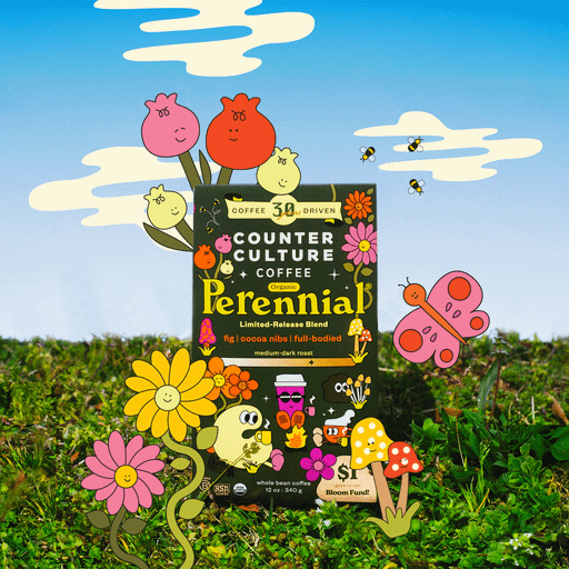 Perennial