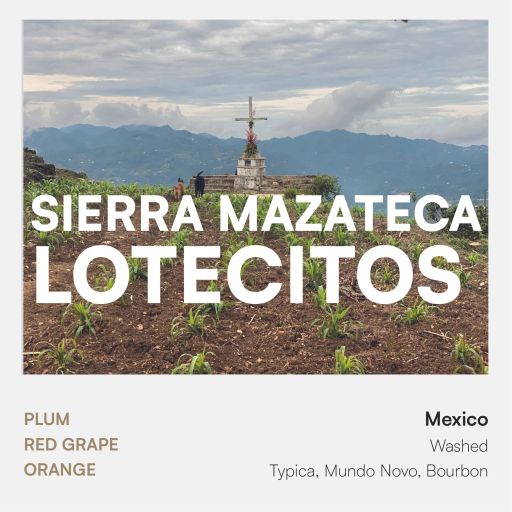 Sierra Mazateca "Lotecitos"