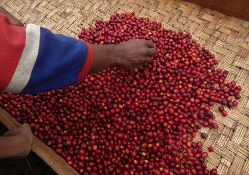 Papua New Guinea Jiwaka Arufa Natural