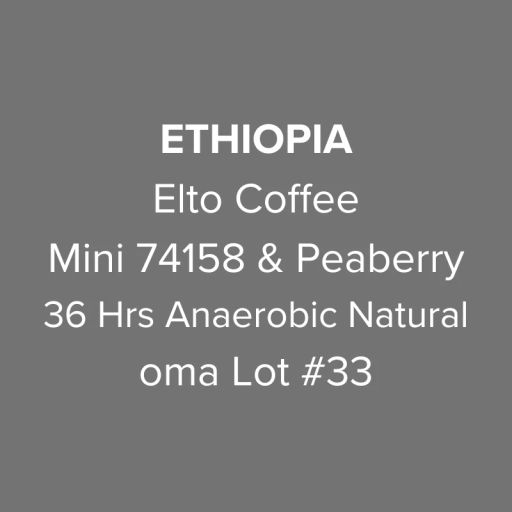 Ethiopia Elto Coffee Sidama Elora Station Mini 74158 & Peaberry 36 Hours Anaerobic Natural oma Lot #33