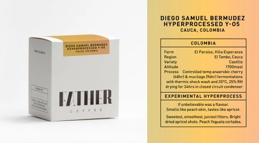 Diego Samuel Bermudez Hyperprocessed Castillo Y-05