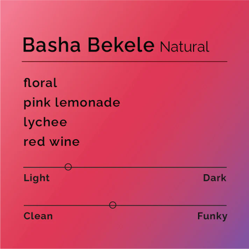 Basha Bekele - Natural