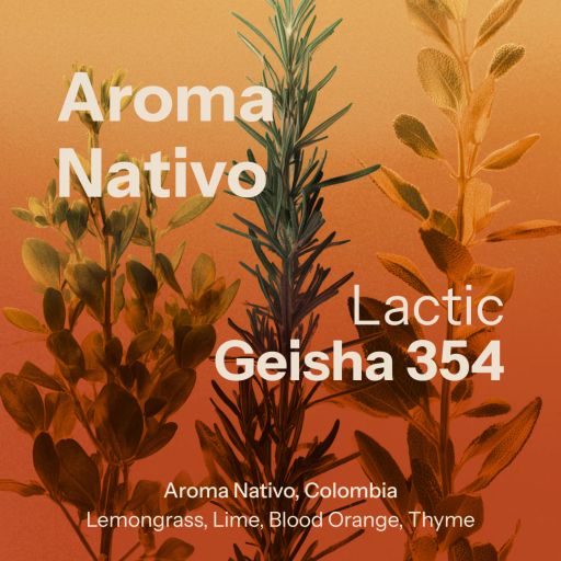 Aroma Nativo Geisha 354
