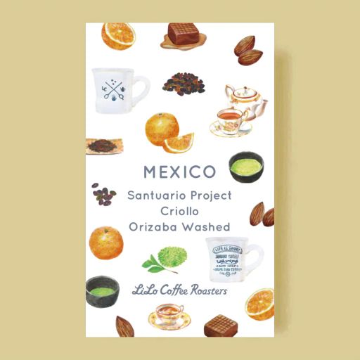 Mexico Santuario Criollo Orizaba Washed