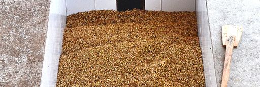 #4 Costa Rica, Red Honey San Isidro