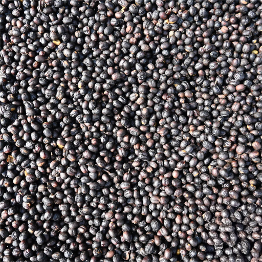 Guatemala Finca La Hermosa Gesha Natural