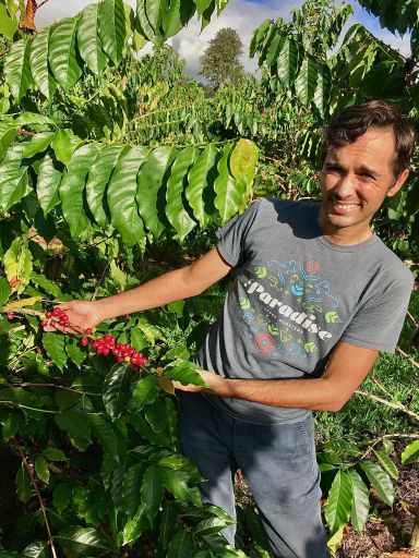 Kona SL34 Champagne Natural - Uluwehi Coffee Farm